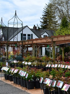 Vassey Nursery